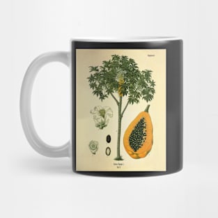 Vintage Nature illustration of Papaya Mug